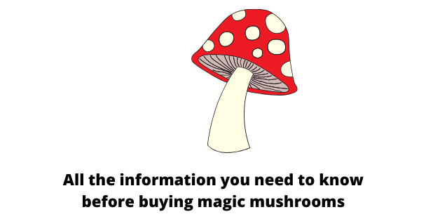 All the information you need to know before buying magic mushrooms