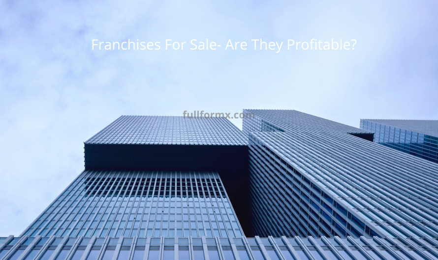 Franchises For Sale- Are They Profitable?
