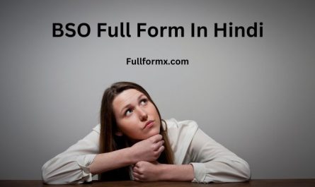 BSO Full Form In Hindi
