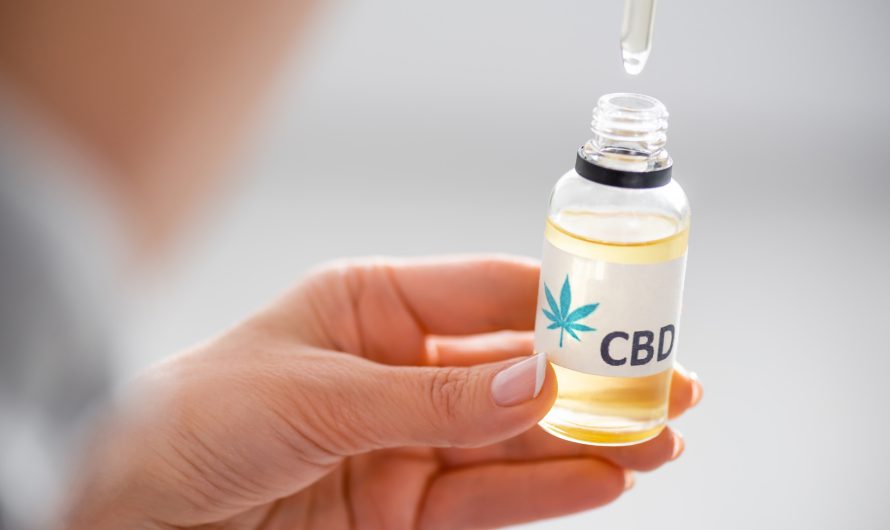 CBD Creams vs. Other CBD Products: Which Is Best?